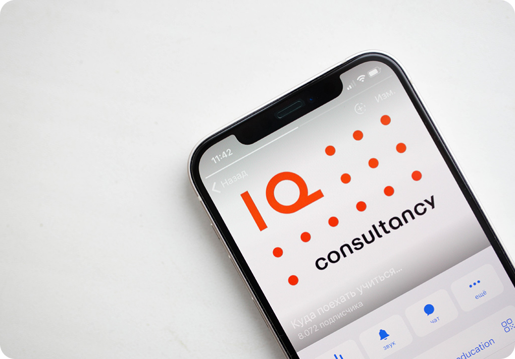 IQ Consultancy